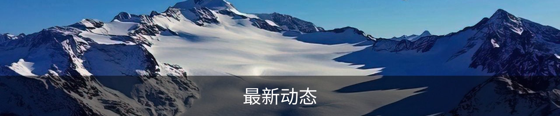 最新动态
